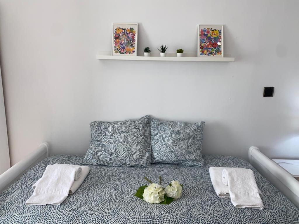 Apartamento Soltova Casar De Caceres Exterior photo
